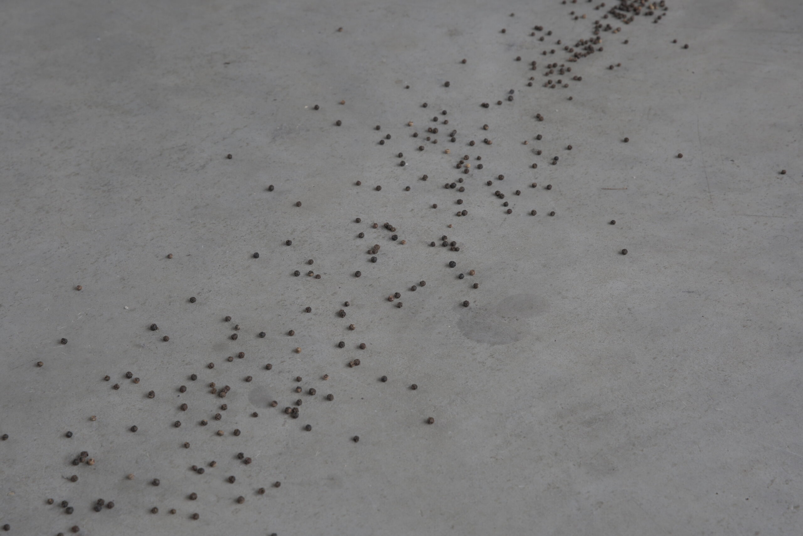 Raphael Pohl – installation at Applied Arts Vienna, 2025