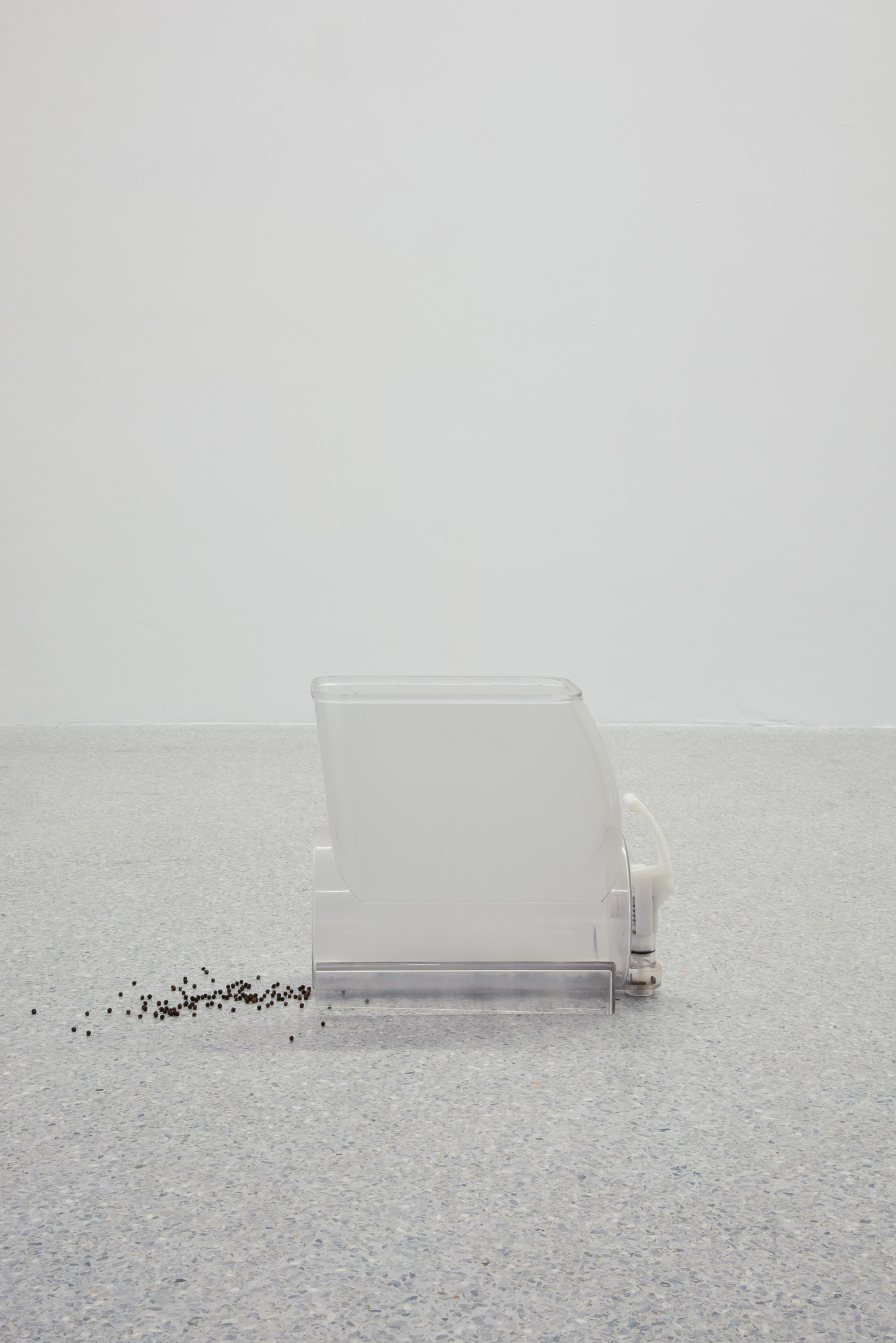 raphael_pohl_at_museion_bolzano_museum_installation_view_2024-07 installation “ dagg naty in verona” by Raphael Pohl, shown at Museion, Museum for Modern and Contemporary Art Bolzano