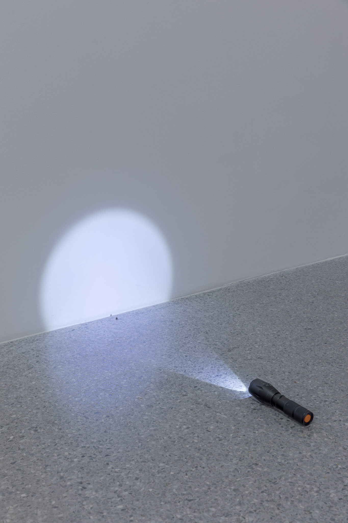 raphael pohl Renaissance installation “ dagg naty in verona” by Raphael Pohl, shown at Museion, Museum for Modern and Contemporary Art Bolzano