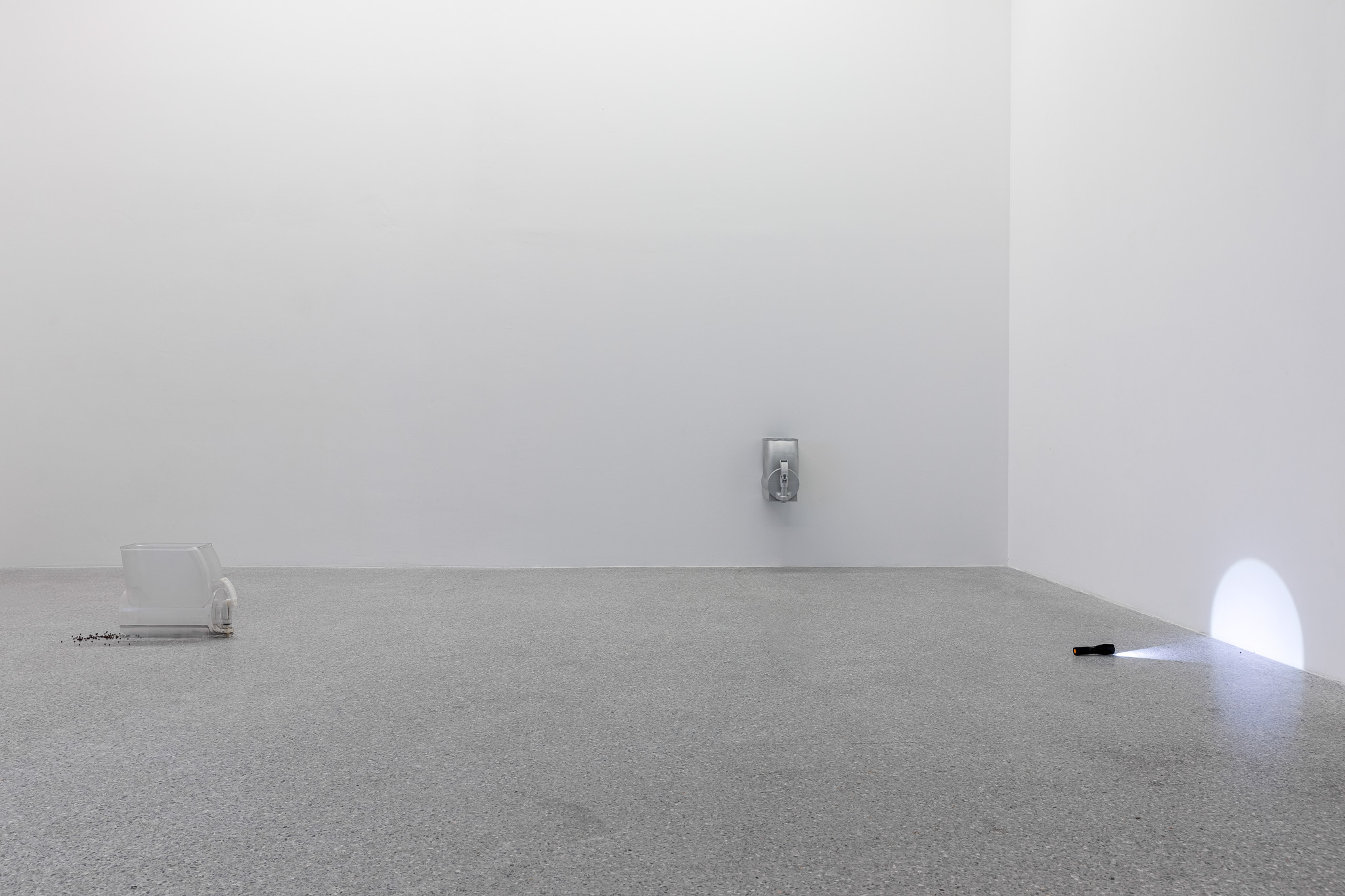 Artwork by Raphael Pohl, installation, exhibition view