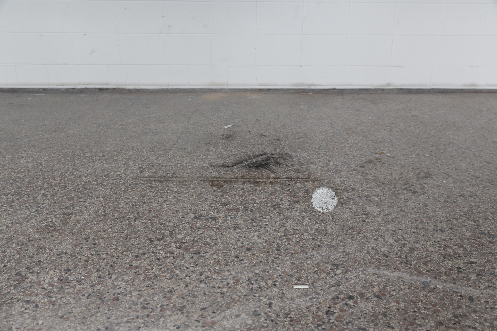 Raphael Pohl at Artist’s Kitchen residency, 2025